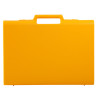 Valise plastique BAGACASE Classic D02 coloris jaune vue de face