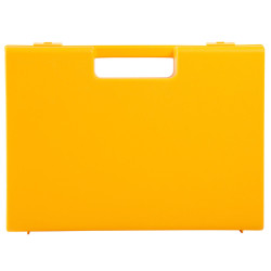 Valise plastique BAGACASE Gaggione Rétro C01 coloris vue de face